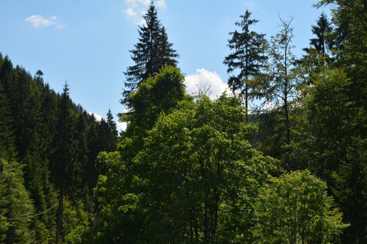 Gasthof Thomas Muentzer Steinheid Buitenkant foto